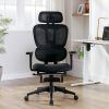 Multi-functional Ergonomic Mesh Office Chair with Adjustable Armrest,Footrest,Lumbar Support, 360° Silent Wheels,Headrest for Home & Office,Black