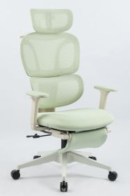 Ergonomic Office Chair with Footrest, High Back Computer Office Chair with Dynamic Lumbar Support, 2D Headrest, 2D Armrest, Sponge Seat, Mesh Home Off