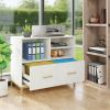 File Cabinet Printer Stand with Drawer & Open Storage Spaces