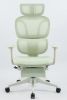 Ergonomic Office Chair with Footrest, High Back Computer Office Chair with Dynamic Lumbar Support, 2D Headrest, 2D Armrest, Sponge Seat, Mesh Home Off
