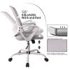 Desk Chair with Ergonomic Lumbar Support for Home, Office, Bedroom, 250lbs, Grey
