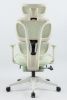 Ergonomic Office Chair with Footrest, High Back Computer Office Chair with Dynamic Lumbar Support, 2D Headrest, 2D Armrest, Sponge Seat, Mesh Home Off