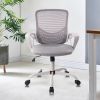 Desk Chair with Ergonomic Lumbar Support for Home, Office, Bedroom, 250lbs, Grey