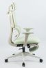 Ergonomic Office Chair with Footrest, High Back Computer Office Chair with Dynamic Lumbar Support, 2D Headrest, 2D Armrest, Sponge Seat, Mesh Home Off