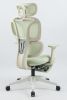 Ergonomic Office Chair with Footrest, High Back Computer Office Chair with Dynamic Lumbar Support, 2D Headrest, 2D Armrest, Sponge Seat, Mesh Home Off